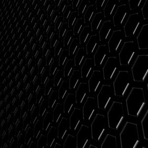 Meet your Posher, Dane